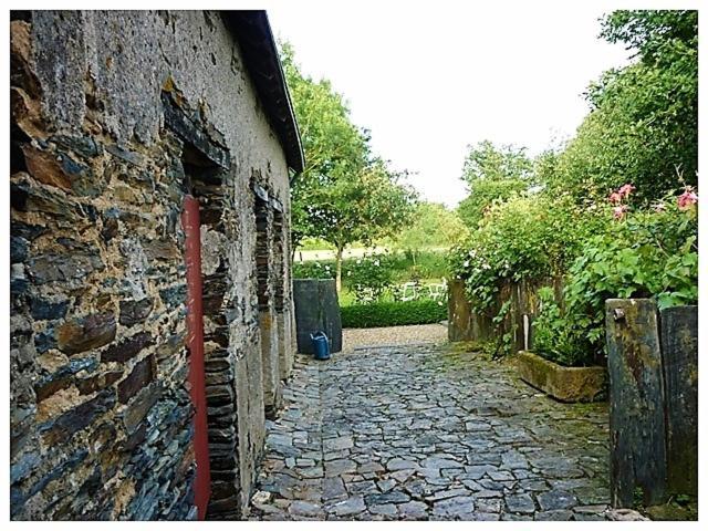 La Veillonnais Bed & Breakfast Angrie Exterior foto